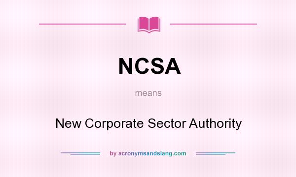 What does NCSA mean? It stands for New Corporate Sector Authority