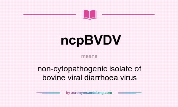 What does ncpBVDV mean? It stands for non-cytopathogenic isolate of bovine viral diarrhoea virus