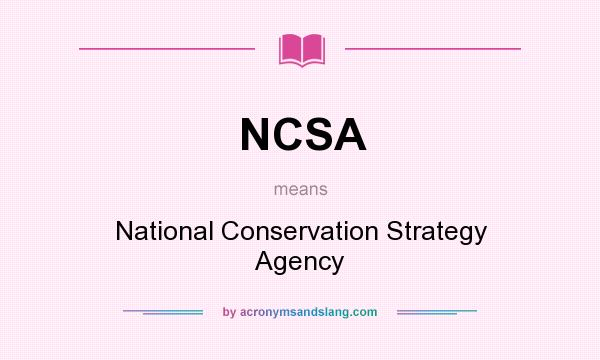 What does NCSA mean? It stands for National Conservation Strategy Agency