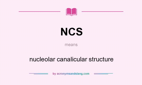 What does NCS mean? It stands for nucleolar canalicular structure
