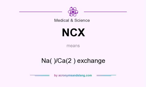 What does NCX mean? It stands for Na( )/Ca(2 ) exchange