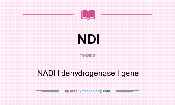 What does NDI mean? It stands for NADH dehydrogenase I gene