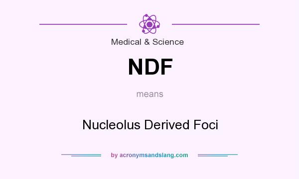 What does NDF mean? It stands for Nucleolus Derived Foci