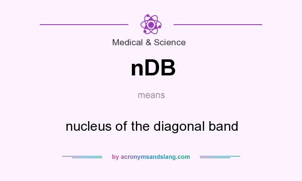 What does nDB mean? It stands for nucleus of the diagonal band