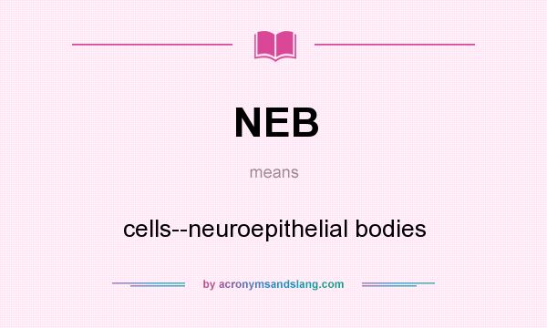 What does NEB mean? It stands for cells--neuroepithelial bodies