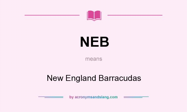 What does NEB mean? It stands for New England Barracudas