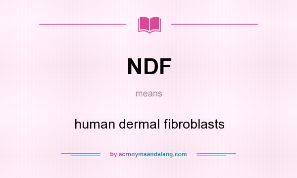 What does NDF mean? It stands for human dermal fibroblasts