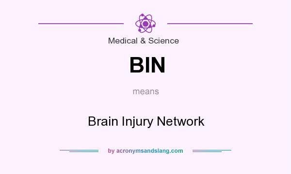 What does BIN mean? It stands for Brain Injury Network