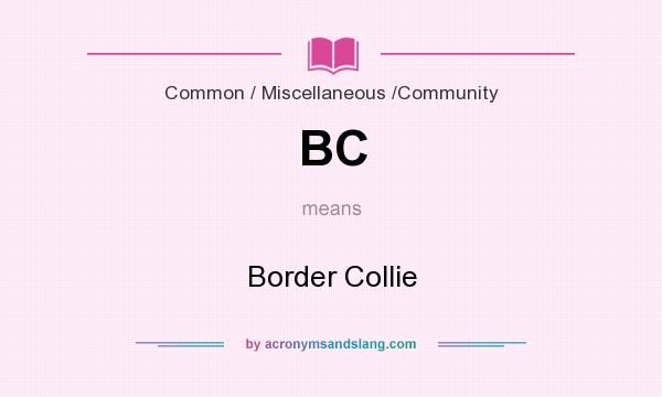 What does BC mean? It stands for Border Collie
