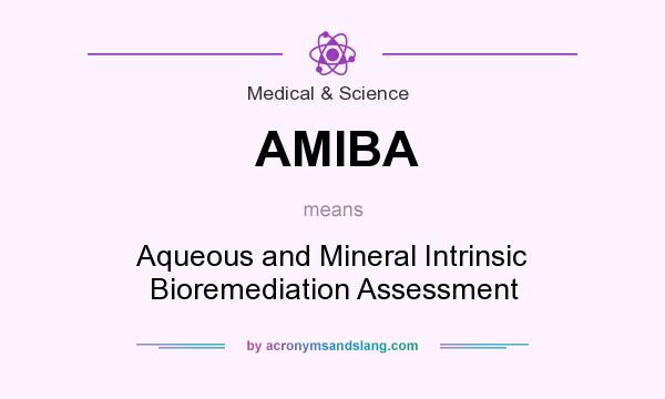 What does AMIBA mean? It stands for Aqueous and Mineral Intrinsic Bioremediation Assessment