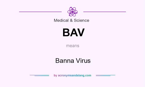 What does BAV mean? It stands for Banna Virus