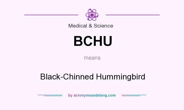 What does BCHU mean? It stands for Black-Chinned Hummingbird