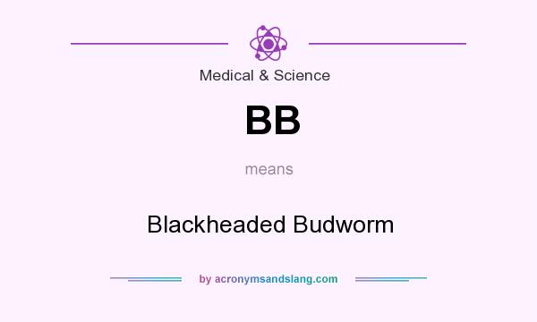 What does BB mean? It stands for Blackheaded Budworm