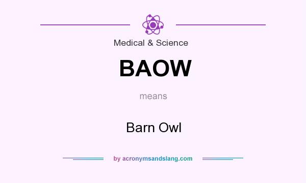What does BAOW mean? It stands for Barn Owl