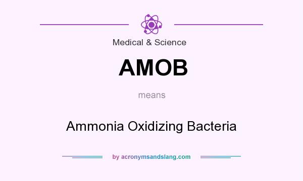 What does AMOB mean? It stands for Ammonia Oxidizing Bacteria
