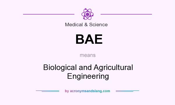 What does BAE mean? It stands for Biological and Agricultural Engineering