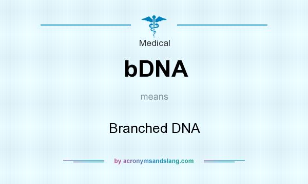 What does bDNA mean? It stands for Branched DNA
