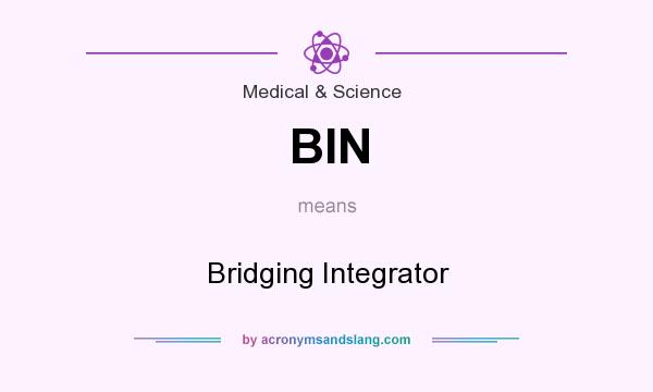 What does BIN mean? It stands for Bridging Integrator
