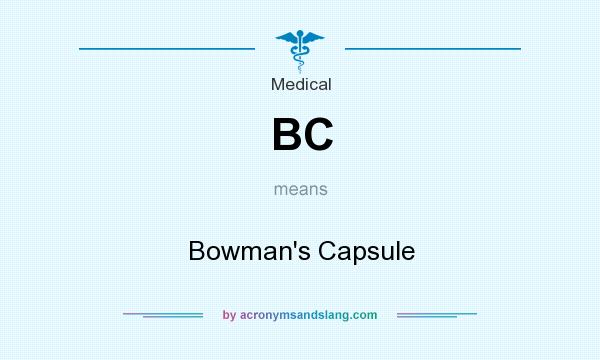 What does BC mean? It stands for Bowman`s Capsule