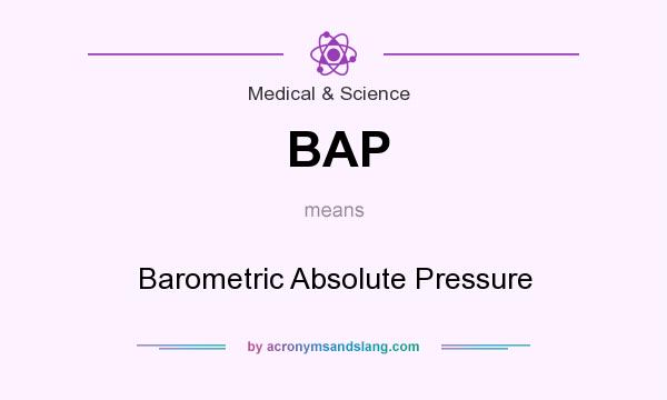 What does BAP mean? It stands for Barometric Absolute Pressure
