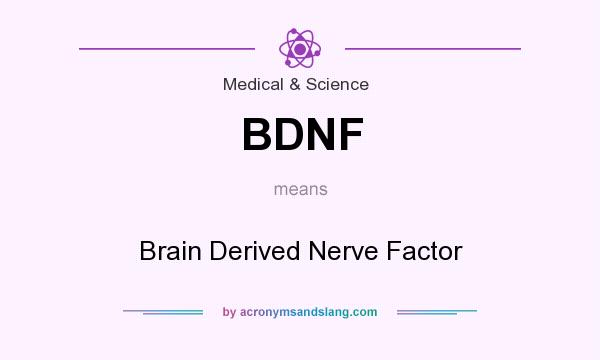 What does BDNF mean? It stands for Brain Derived Nerve Factor