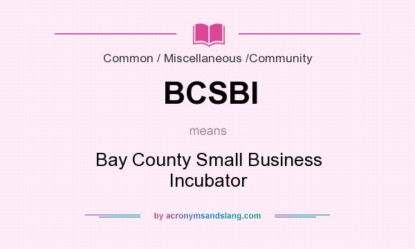 What does BCSBI mean? It stands for Bay County Small Business Incubator