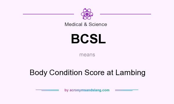 What does BCSL mean? It stands for Body Condition Score at Lambing