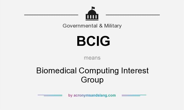 What does BCIG mean? It stands for Biomedical Computing Interest Group