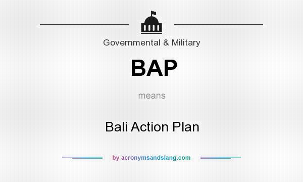 What does BAP mean? It stands for Bali Action Plan