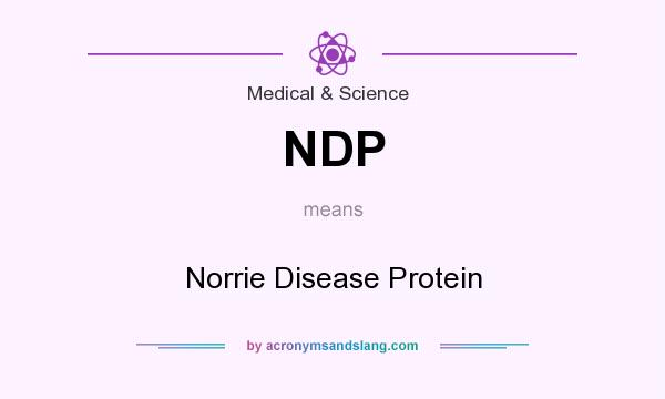 What does NDP mean? It stands for Norrie Disease Protein