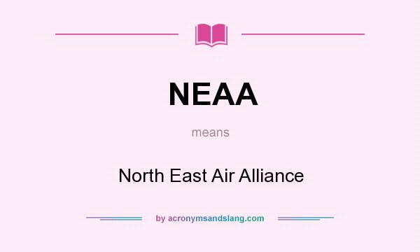 What does NEAA mean? It stands for North East Air Alliance