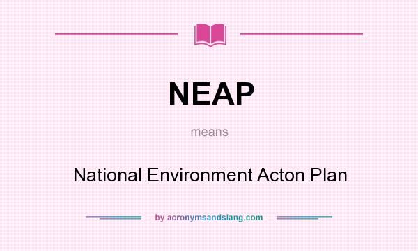What does NEAP mean? It stands for National Environment Acton Plan