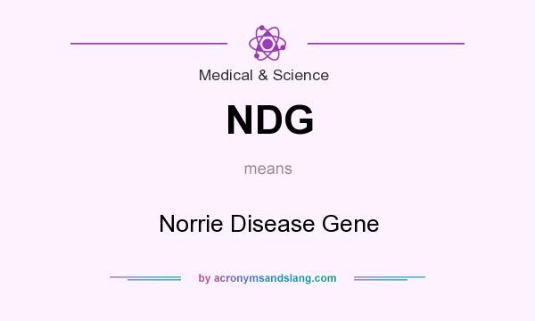 What does NDG mean? It stands for Norrie Disease Gene