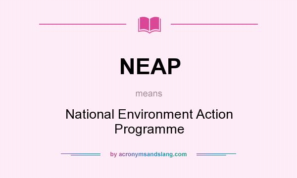 What does NEAP mean? It stands for National Environment Action Programme