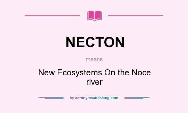 What does NECTON mean? It stands for New Ecosystems On the Noce river
