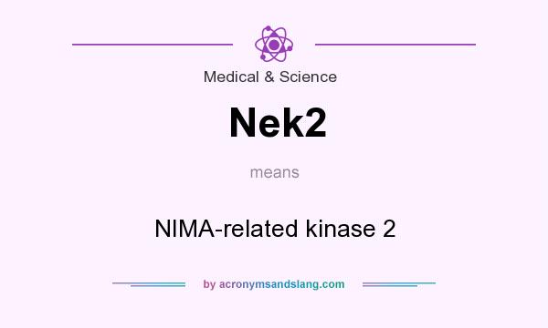 What does Nek2 mean? It stands for NIMA-related kinase 2
