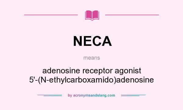 What does NECA mean? It stands for adenosine receptor agonist 5`-(N-ethylcarboxamido)adenosine