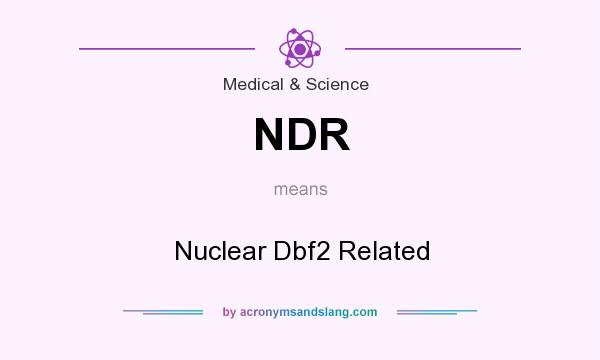 What does NDR mean? It stands for Nuclear Dbf2 Related