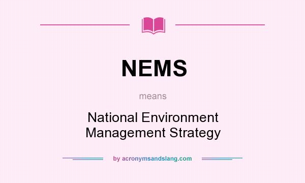 What does NEMS mean? It stands for National Environment Management Strategy