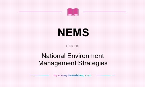 What does NEMS mean? It stands for National Environment Management Strategies