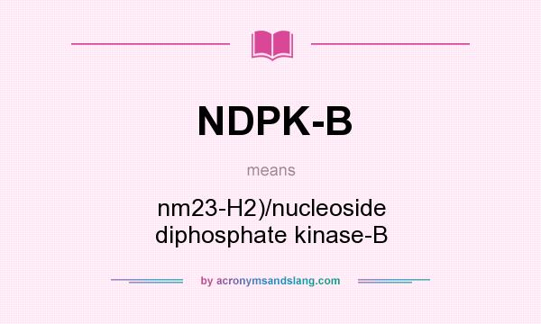 What does NDPK-B mean? It stands for nm23-H2)/nucleoside diphosphate kinase-B