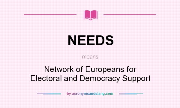 What does NEEDS mean? It stands for Network of Europeans for Electoral and Democracy Support