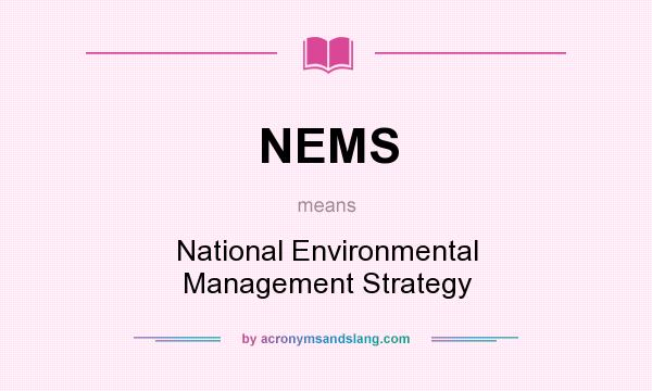 What does NEMS mean? It stands for National Environmental Management Strategy