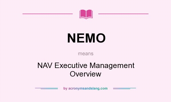 What does NEMO mean? It stands for NAV Executive Management Overview