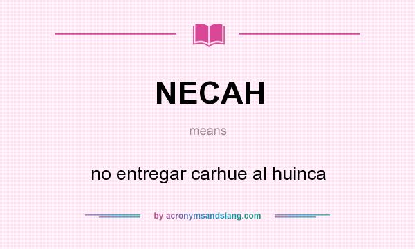 What does NECAH mean? It stands for no entregar carhue al huinca