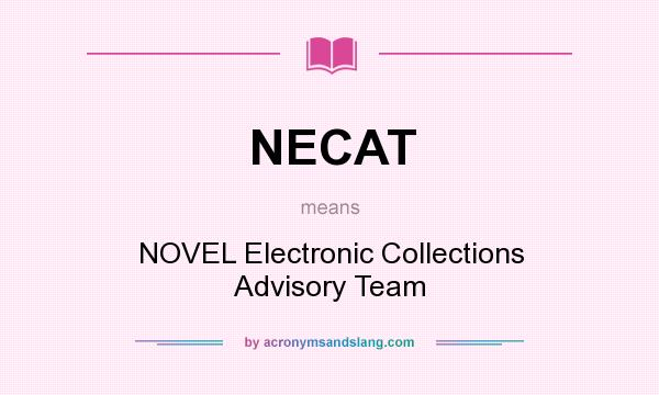 What does NECAT mean? It stands for NOVEL Electronic Collections Advisory Team