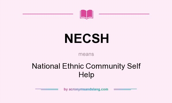 What does NECSH mean? It stands for National Ethnic Community Self Help