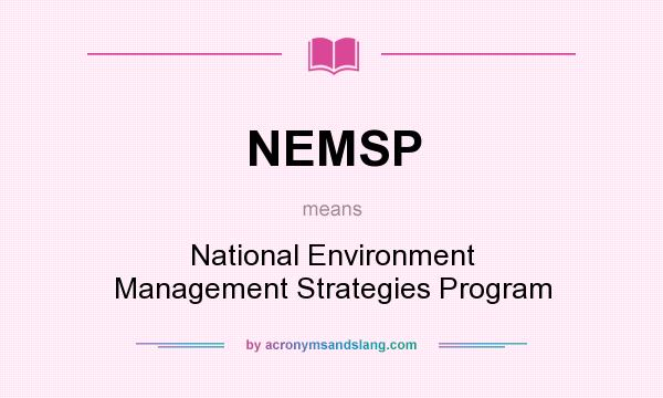 What does NEMSP mean? It stands for National Environment Management Strategies Program