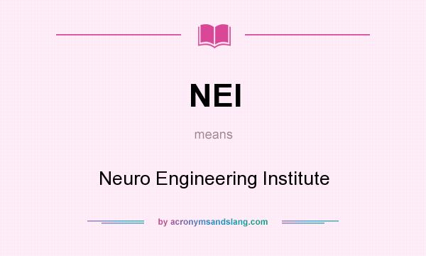 What does NEI mean? It stands for Neuro Engineering Institute