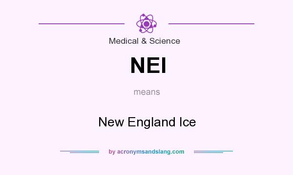 What does NEI mean? It stands for New England Ice